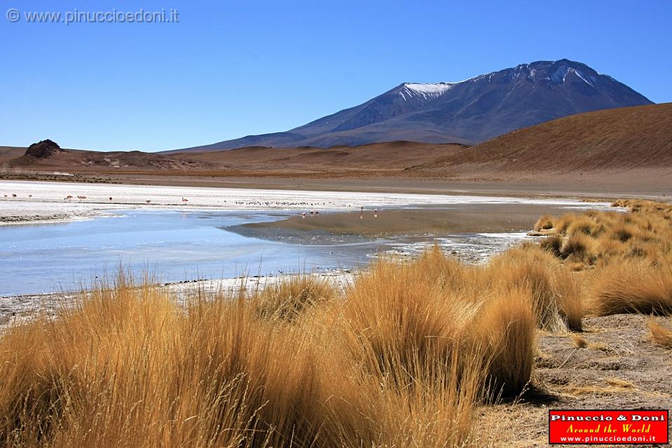 BOLIVIA 2 - Ruta de Las Joyas - Laguna Hedionda - 27.jpg